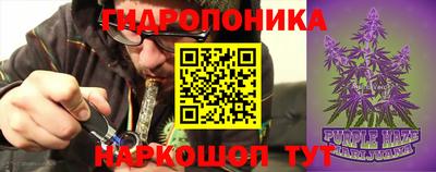 крисы Комсомольск-на-Амуре