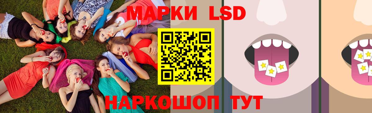 Будённовск  Лсд 25 экстази кислота  Вход с VPN 