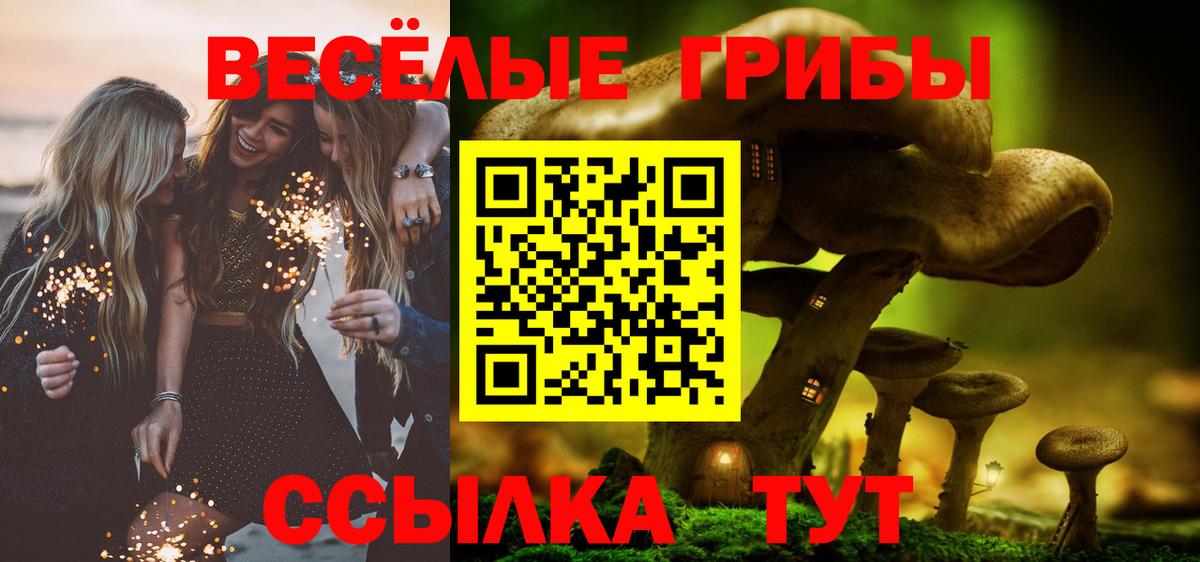 Галлюциногенные грибы MAGIC MUSHROOMS Будённовск