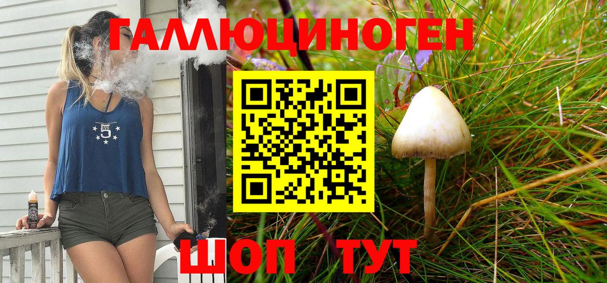 Будённовск  Галлюциногенные грибы MAGIC MUSHROOMS  Вход с VPN 